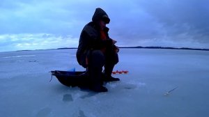 Карелия. Сямозеро. Рыбалка с физруком. Ловим окуня.