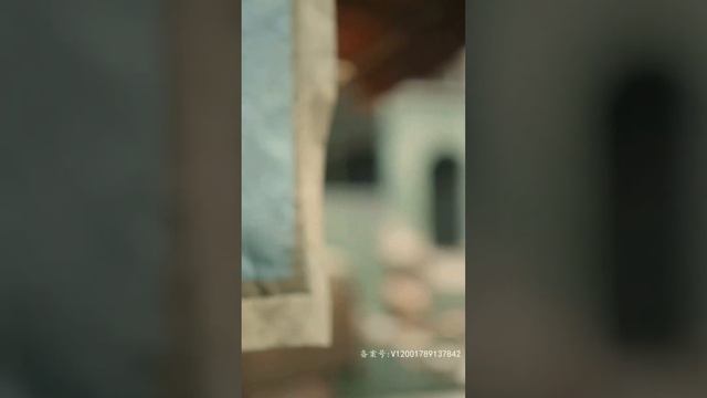 亂世之中我救你一命，你欠我一個恩情，從此我們之間便有了深深的羈絆，我重生后還是會愛上你..?全集#甜宠 #短剧 #都市 #霸道总裁#虐恋 #都市 #灰姑娘#搞笑#重生 смотреть онлайн