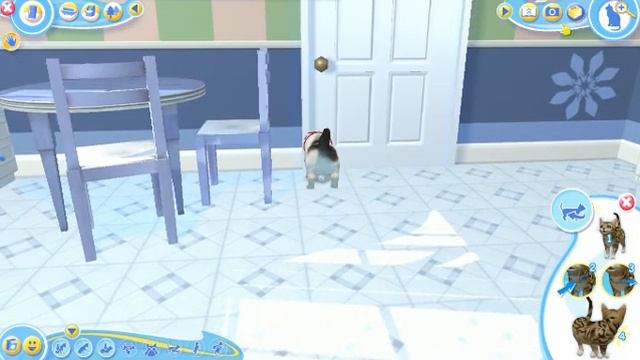 Petz Catz2 - Gameplay | Cartmanlande смотреть онлайн