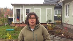 Самое модное растение /Наталья Самойленко/