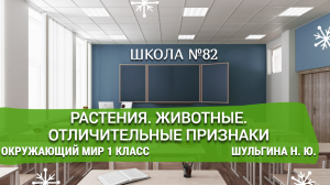 Растения. Животные. Отличительные признаки. Окружающий мир 1 класс. Шульгина Н. Ю.