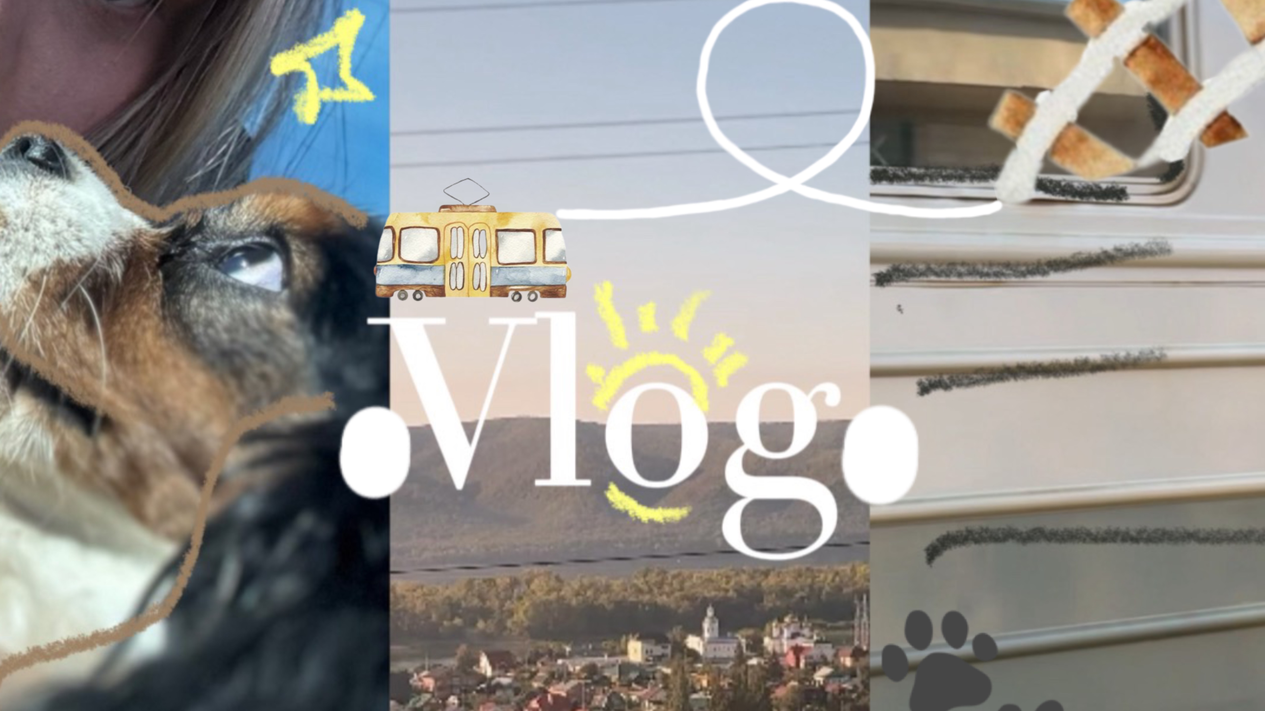 Влог: Забираю свою новую собаку! 🐾