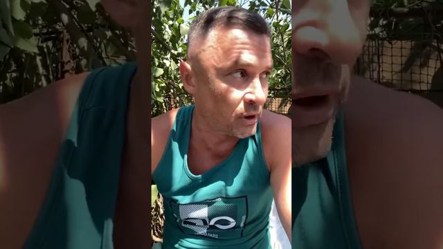 Паспорт СССР. Шах, но мат. смотреть онлайн