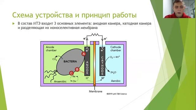 МТЭ. Шаруков Даниил, школьник, Чебоксары. смотреть онлайн