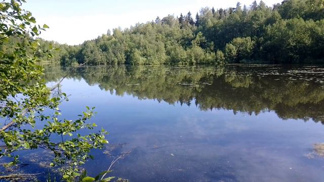 Река Харинка. ч.1. Июнь 2023 смотреть онлайн