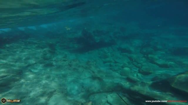 Подводная охота - Турция, средиземное море - подводный мир! Параглайдинг смотреть онлайн
