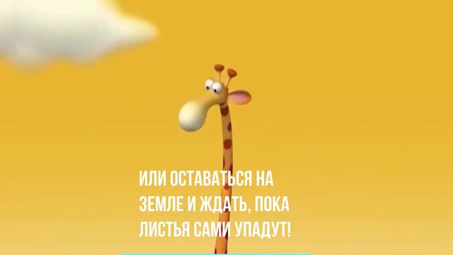 А жирафы длинные смотреть онлайн