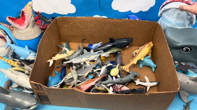 Shark Toys Collection for Kids смотреть онлайн