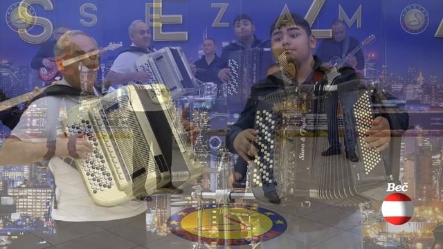 Alex Radovanovic (SKOLA DIMIC BEC) - Polomio vetar grane (COVER) - Sezam produkcija (TV Sezam 2023) смотреть онлайн