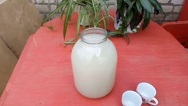 Сделала дрожжевую подкормку для клубники смотреть онлайн