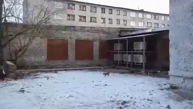 г. Кировград Свердловской области. Рушатся дома. Администрации дела нет. смотреть онлайн