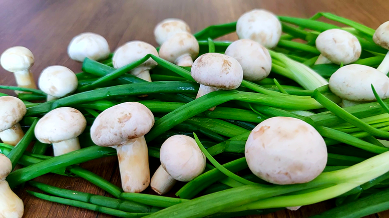 Знакомый ШЕФ-ПОВАР научил мариновать ШАМПИНЬОНЫ. Они получаются ароматнее ЛЕСНЫХ ГРИБОВ!