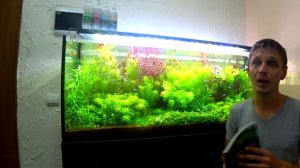 Аквариум травник