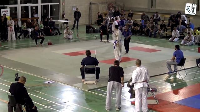 Open de Belgique 2015 de Karaté Kyokushin - FINALE : Men Elite +80kg смотреть онлайн