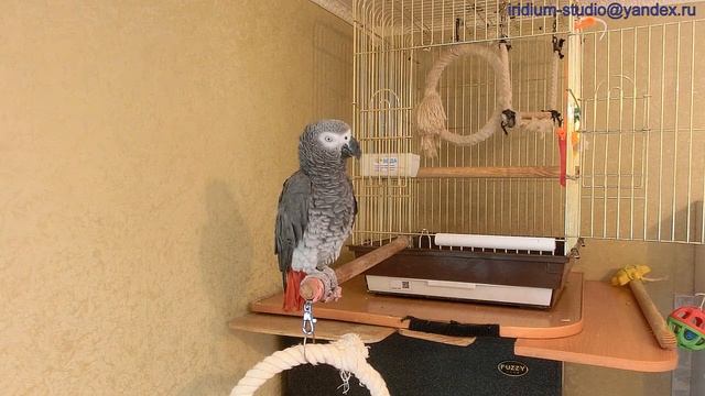 Жан разговаривает с Димкой(снято ОДНИМ кадром!).mp4 смотреть онлайн