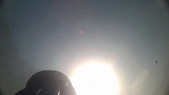 Подводная охота - ДУБКИ (Навмисное) смотреть онлайн