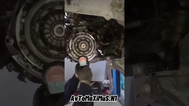 АвтоНирвана