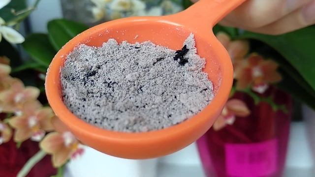 ЗОЛА орхидеи ЗЛО? ХОДОВОЕ УДОБРЕНИЯ орхидеи! ОРХИДЕИ золотой золой ОТЗЫВ! ЗОЛЬНАЯ лихорадка орхидеи смотреть онлайн