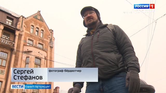 Специалисты изучают сов в декоре петербургских домов в стиле северный модерн смотреть онлайн