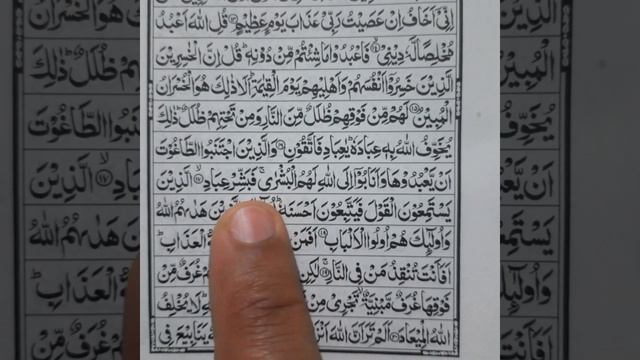 Surah Zumar Ruku 2 Recitation | Lesson No 402 | Tilawat Quran Majeed смотреть онлайн