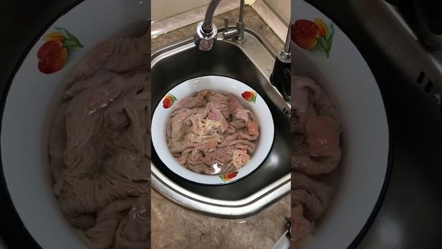 Жылқының қарны мен қартасын тазалап, тұздау! смотреть онлайн