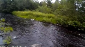 Рыбалка на нахлыст Петрозаводск! Лососинка!
