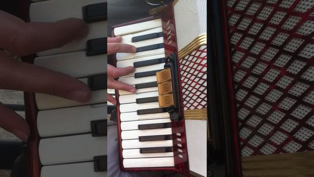 Accordéon Galotta Conti