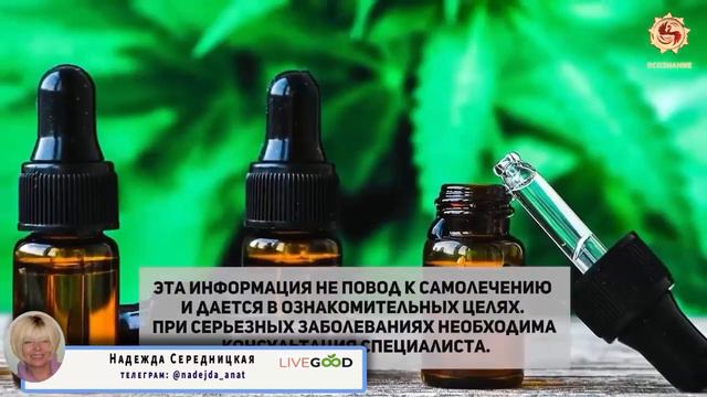Результаты применения CBD #LiveGood смотреть онлайн
