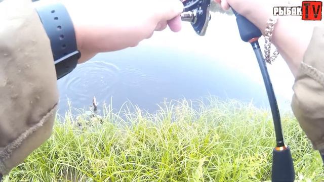 Ловля окуня на реке в Ленинградской области. Хамсин сделал рыбалку. Окунь ЕСТЬ!!!