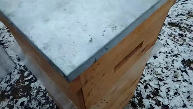 Зимовка карники в МФУ 300х300 на 145-ой рамке. смотреть онлайн