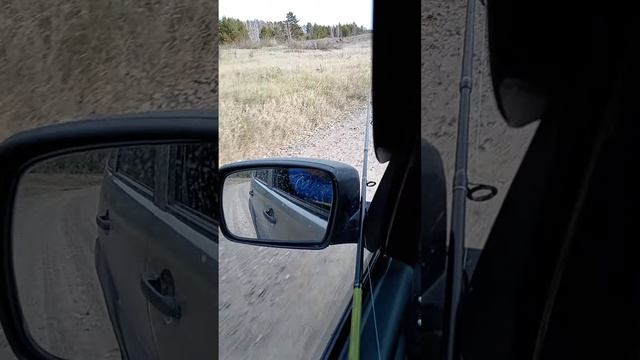 чтоб не собирать спиннинг от точки до точки смотреть онлайн