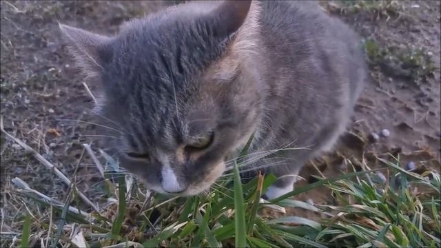 Секреты Творческой Реализации