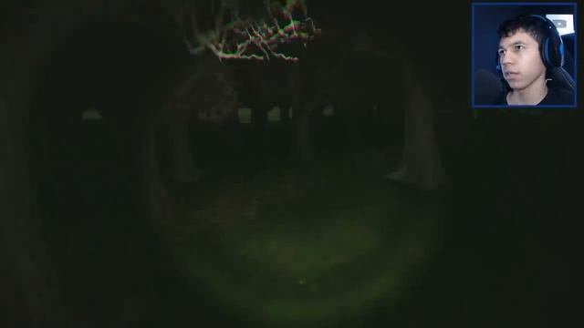 O BICHO VERDE DA FLORESTA - TERR0R COM SHREK смотреть онлайн