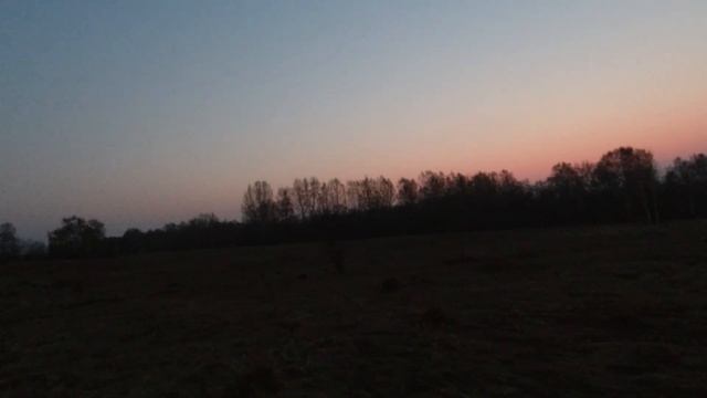 Охота на вальдшнепа | Вальдшнеп на вечерней тяге смотреть онлайн