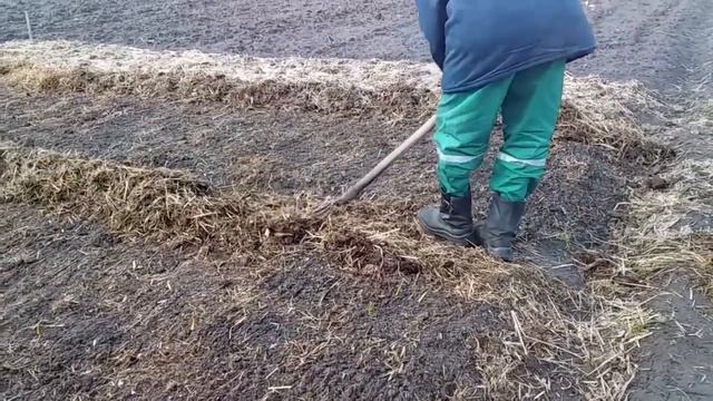 УБИРАЕМ НАВОЗ С ЗИМНЕГО ЛУКА // ГИБРИД ЛУКА ЧЕСНОКА // ПЕРВАЯ ВЕСЕННЯЯ ГРОЗА . смотреть онлайн