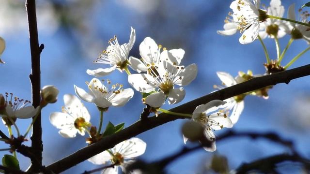 ЖИЗНЬ НА НОВОЙ ЗЕМЛЕ (БАЛАНСИРОВКА СОСТОЯНИЯ ВНУТРЕННЕГО ПОКОЯ) смотреть онлайн
