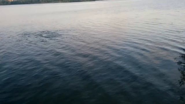 Сдача курсов "Сухой костюм" и "Рескью" смотреть онлайн