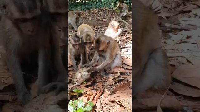 очень смешно смотреть онлайн