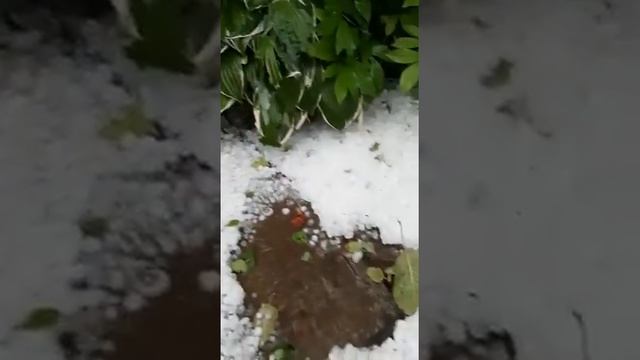 Дача Ольги смотреть онлайн