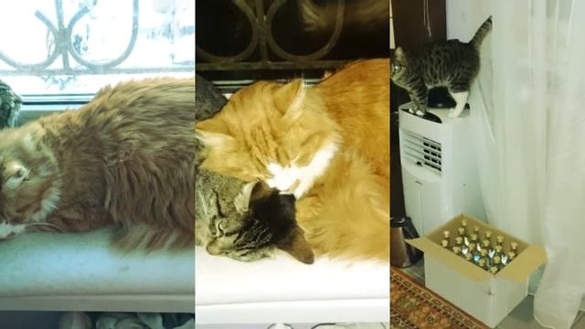 Радиация смотреть онлайн