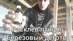 Расклёв птицы.Берёзовый дёготь.