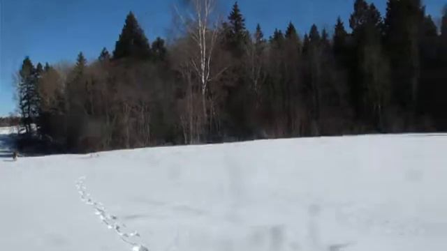 MVI 8855 смотреть онлайн