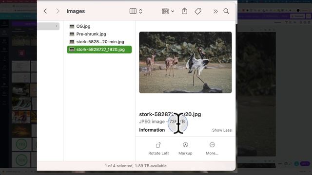 How To Optimize Images For Website Without Losing Quality With Free Online Tools - No Plugins смотреть онлайн