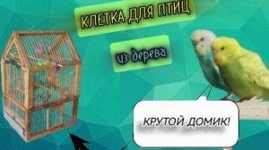 🦜Клетка для попугая, своими руками из дерева.