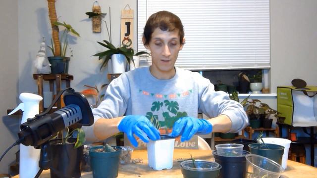 Vlogmas #22 Repot With Me Syngonium, Monstera, & Hoya + Tips смотреть онлайн