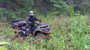 Квадроцикл RM 800 DUO в условиях леса
