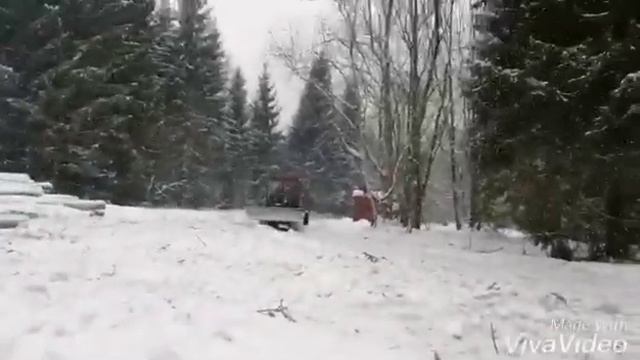 Строительство деревянных домов в Костроме. Лесозаготовка. смотреть онлайн