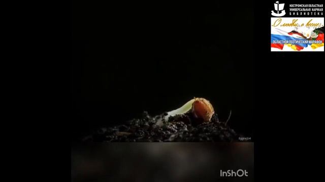 April, April, Der Weiß Nicht Was Er Will …  (Heinrich Seidel)..mp4