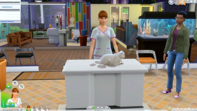 Vet Pets ! Dogs & Cats Care Medical Hospital Let's Play Sims 4 Cookie Swirl C смотреть онлайн