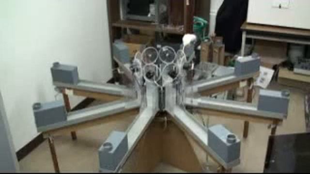 Radial maze learning in rat смотреть онлайн